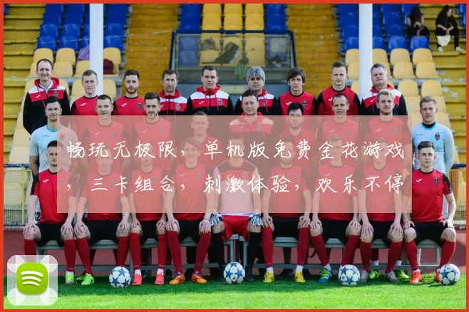 畅玩无极限，单机版免费金花游戏，三卡组合，刺激体验，欢乐不停，尽在指尖